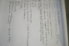 204_CIMG2761.jpg