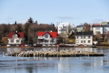 155.jpg