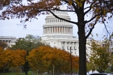 IMG_9664.jpg