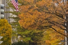 IMG_0162.jpg