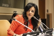 the-annual-conference-on-cultural-diplomacy-in-the-united-nations-2017_31634689333_o.jpg