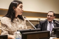 the-annual-conference-on-cultural-diplomacy-in-the-united-nations-2017_32324707851_o.jpg