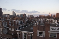 IMG_8775.jpg