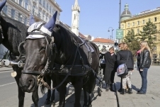 ICD World Tour Vienna 29.jpg