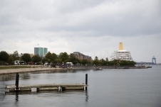 IMG_0320.jpg