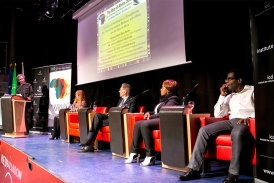Role_Diaspora_Panel_Rise_Africa_2016.jpg