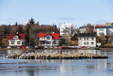 155.jpg