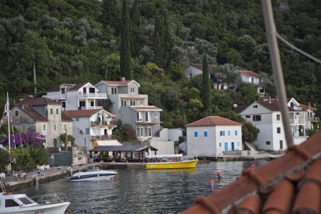 258.jpg
