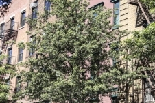 201709_CD_in_UN_295.JPG